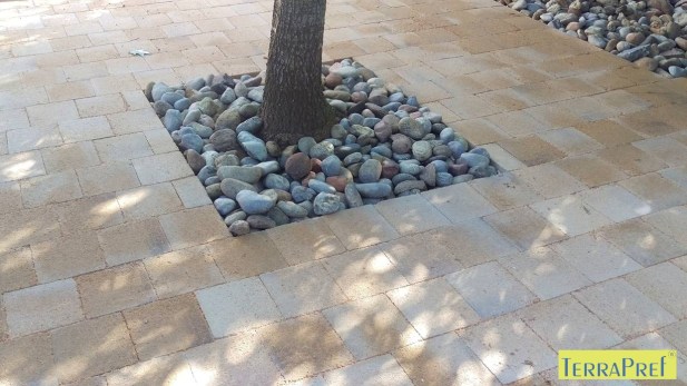 Panot de terra Terra-Pref.01